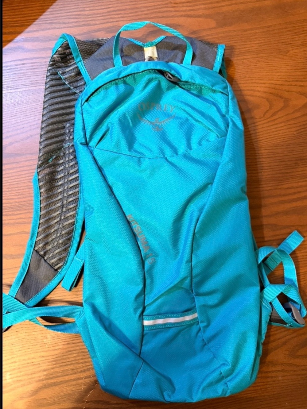 OSPREY Hydration Vest in Teal and Dark Gray - Picture 2 of 2